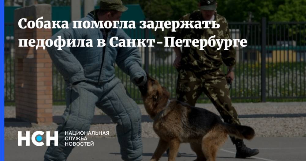 Собака помогла задержать педофила в Санкт-Петербурге