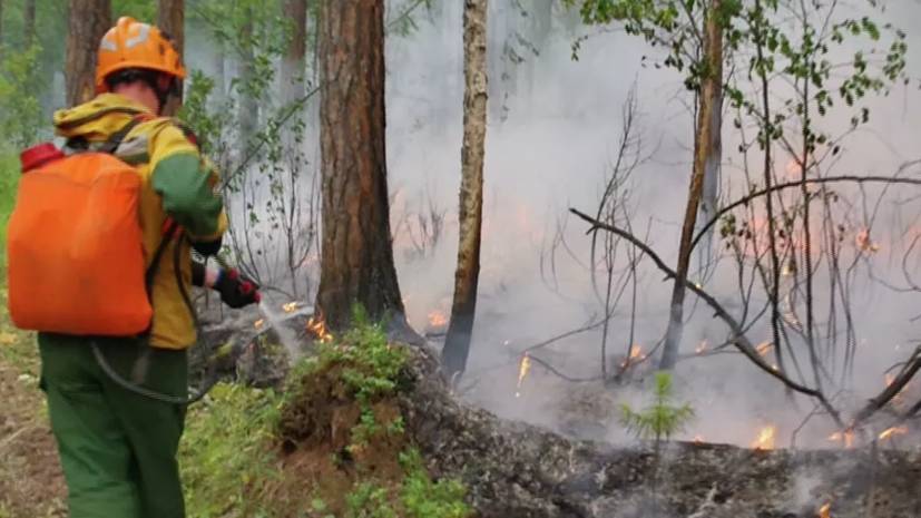 Авиалесоохрана объявила о начале нового этапа лесных пожаров в России