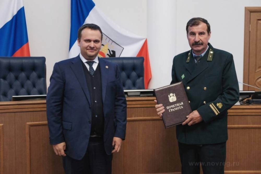 Губернатор Новгородской области вручил награды 30 работникам лесного хозяйства
