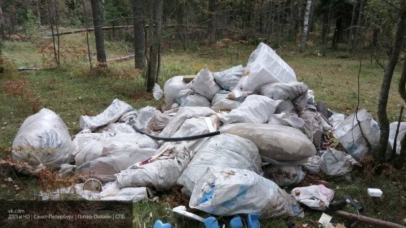 РЭО объяснил россиянам суть мусорной реформы