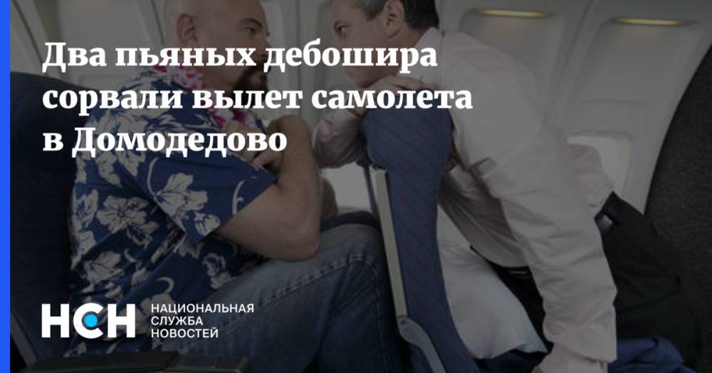 Два пьяных дебошира сорвали вылет самолета в Домодедово
