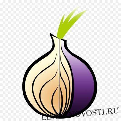 По количеству пользователей Tor Россия заняла первое место