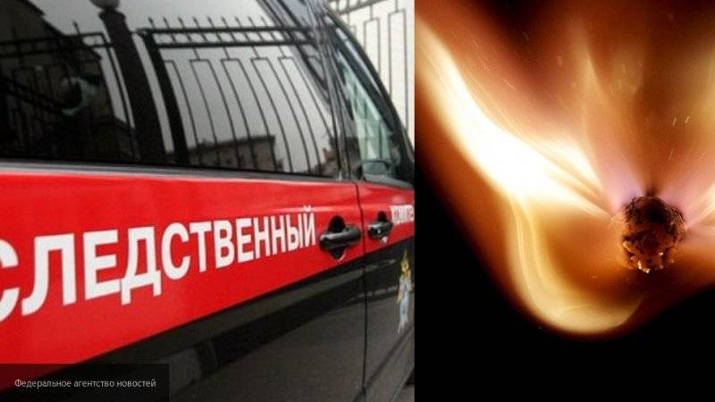 Родители погибли, но сумели спасти сына из горящей квартиры в Подмосковье