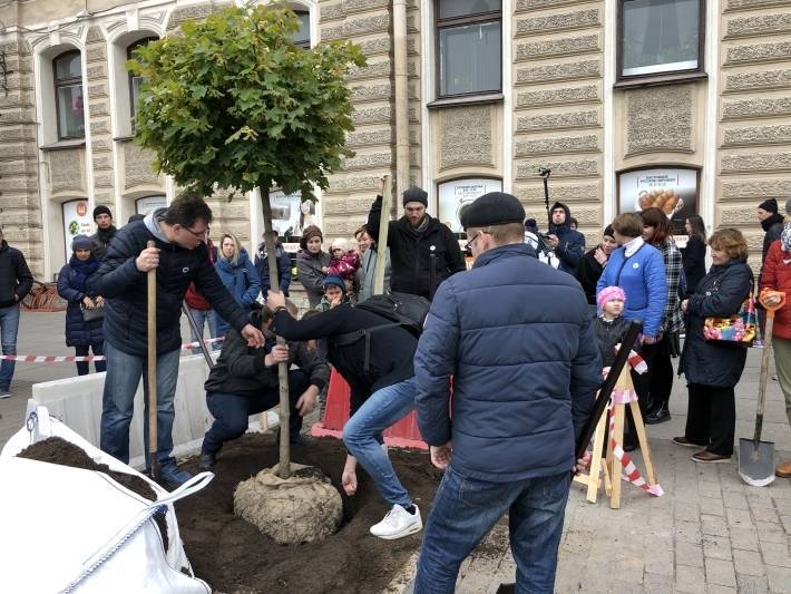 Петербуржцы посадили три клена на площади Восстания