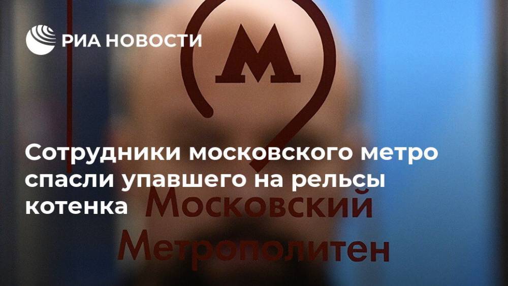 Сотрудники московского метро спасли упавшего на рельсы котенка