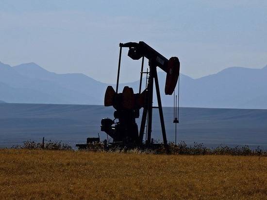 В 2020 году нефтяные цены претерпят катаклизмы: чего ждать России
