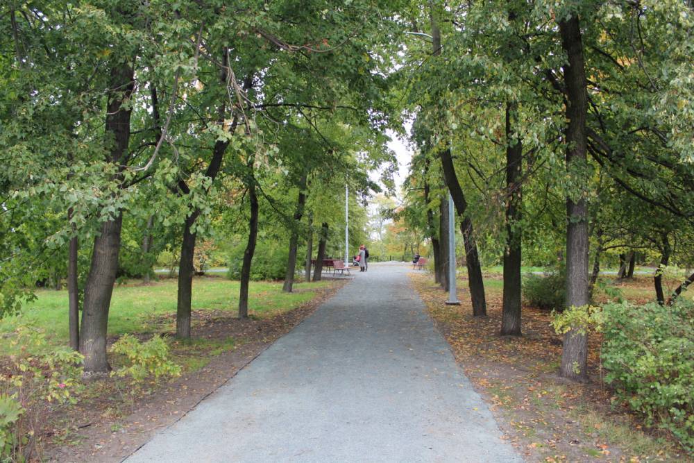 Петрозаводчан приглашают оценить благоустройство в парке Железнодорожников