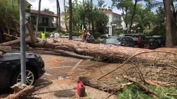 Пять человек стали жертвами урагана «Дориан» на Багамах