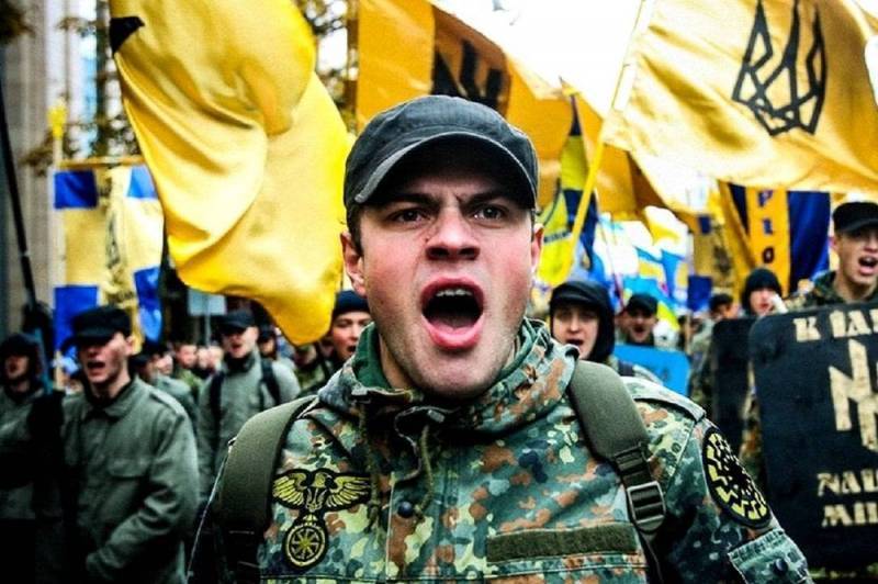 Украинские националисты забросали камнями польскую школу во Львове