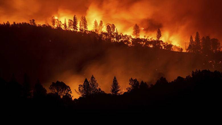 Кабмин скорректировал бюджет из-за лесных пожаров в России