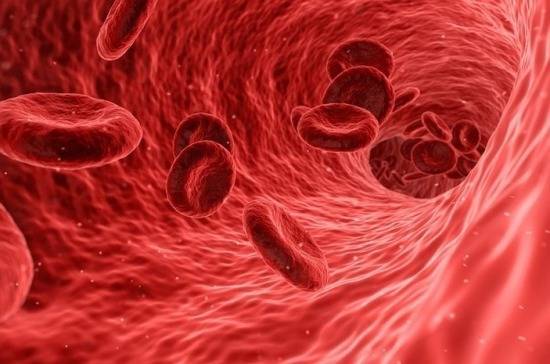 Эксперт назвал четыре угрозы для здоровья кровеносных сосудов