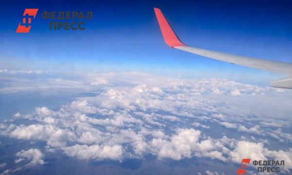 Эксперт спрогнозировал банкротства авиакомпаний из-за подорожания билетов | Москва | ФедералПресс