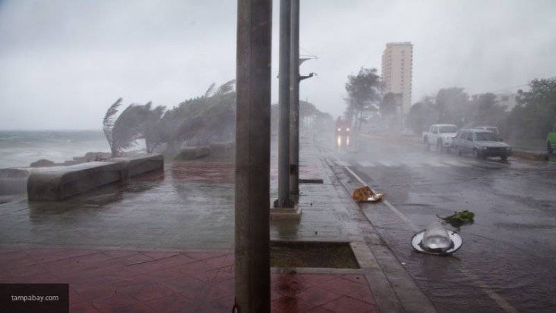 Губернатор Флориды объявил эвакуацию большей части побережья из-за урагана "Дориан"