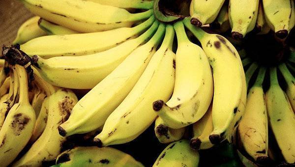 Почему бананы на грани исчезновения - эксперт