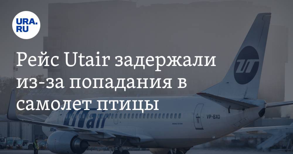 Рейс Utair задержали из-за попадания в самолет птицы