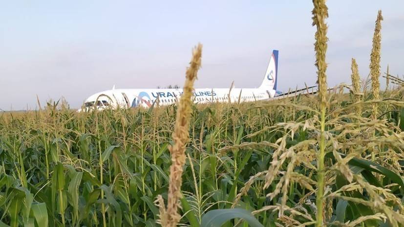 Cпасший пассажиров Airbus A321 пилот возвращается к полётам