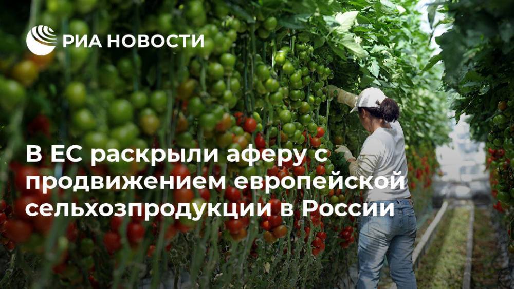 В ЕС раскрыли аферу с продвижением европейской сельхозпродукции в России