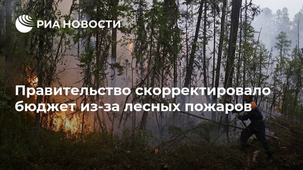 Правительство скорректировало бюджет из-за лесных пожаров