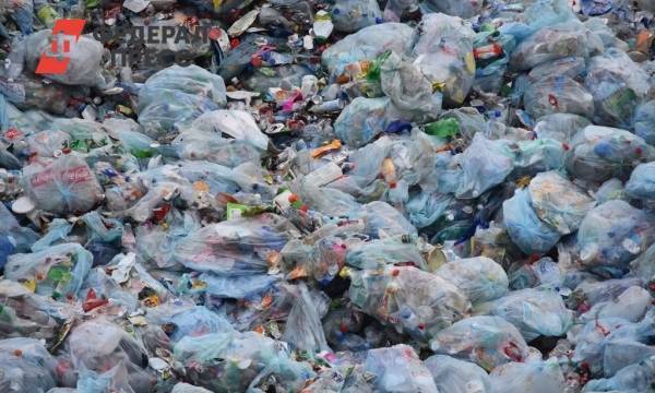 В нелегальном вывозе мусора подозревают 10 предприятий в Саратове