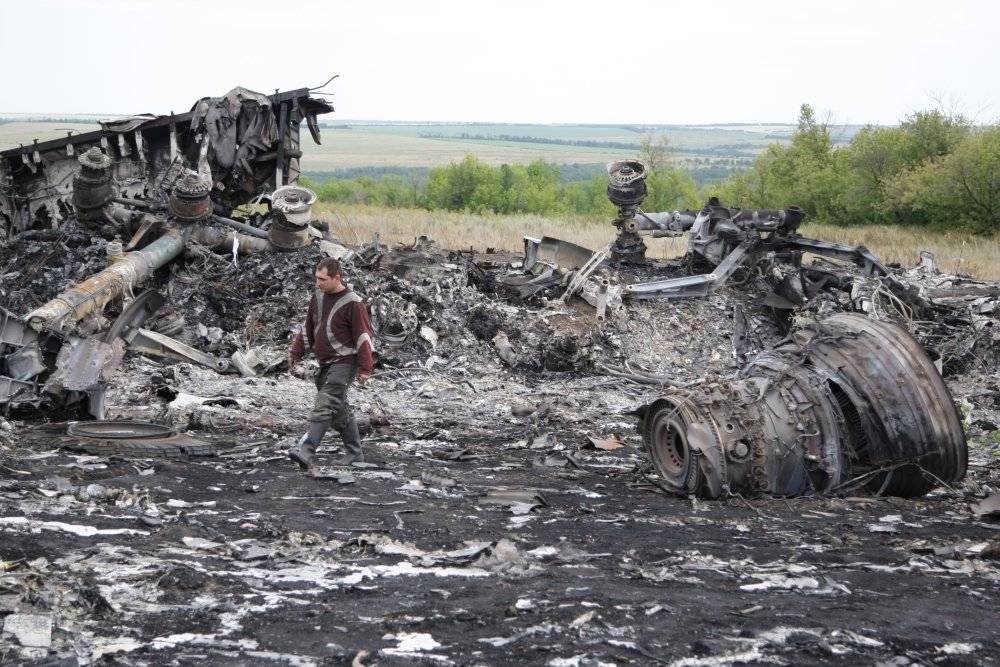 В Совфеде объяснили боязнью правды просьбу Нидерландов к Украине по MH17