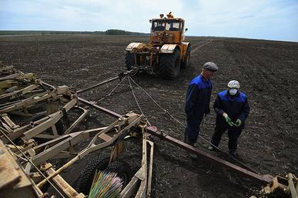 В Башкирии фермеры получат поддержку на десятки миллионов рублей