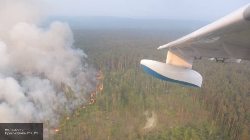 Все лесные пожары в России потушены
