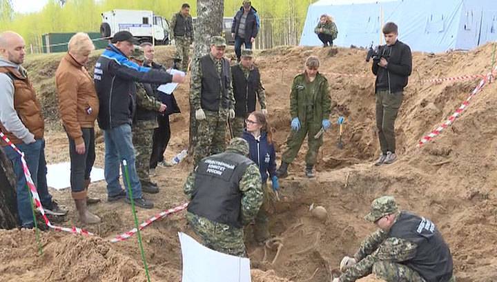 В Брянской области волонтеры начали поиск захоронений 500 жителей, расстрелянных фашистами - vesti.ru - Брянская обл.