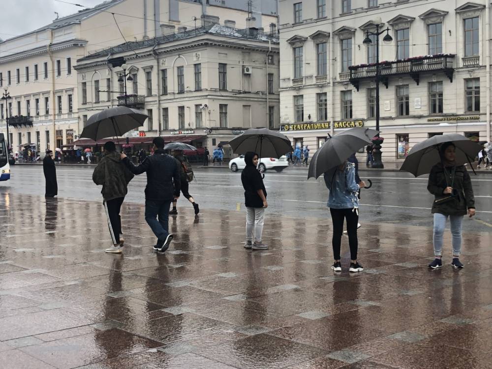 Небольшие дожди ждут петербуржцев в первый рабочий день