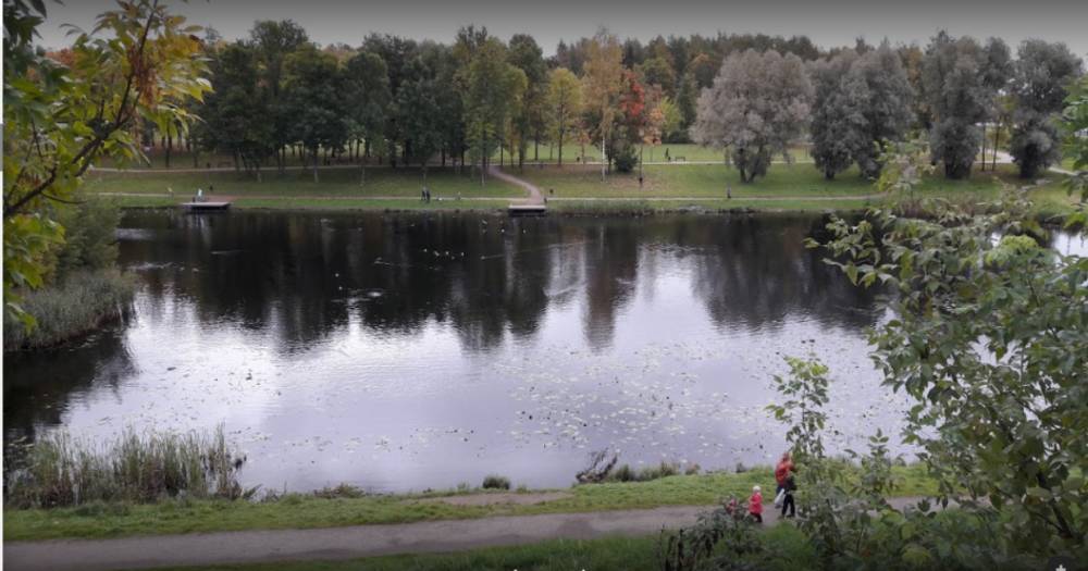Власти Пскова объявили конкурс на благоустройство Мирожского парка