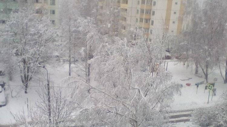 Первый снег пошел в трех сибирских областях