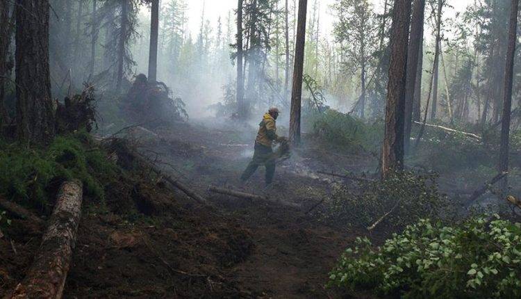 Авиалесоохрана сообщила о конце лесных пожаров в России