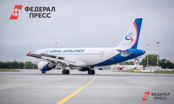 Самолет «Уральских авиалиний» экстренно сел в Екатеринбурге из-за столкновения с птицей