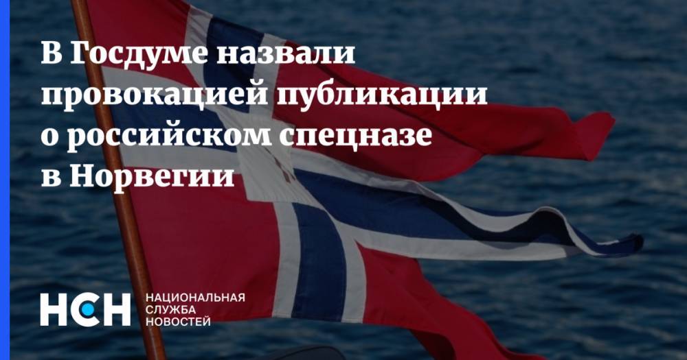 В Госдуме назвали провокацией публикации о российском спецназе в Норвегии