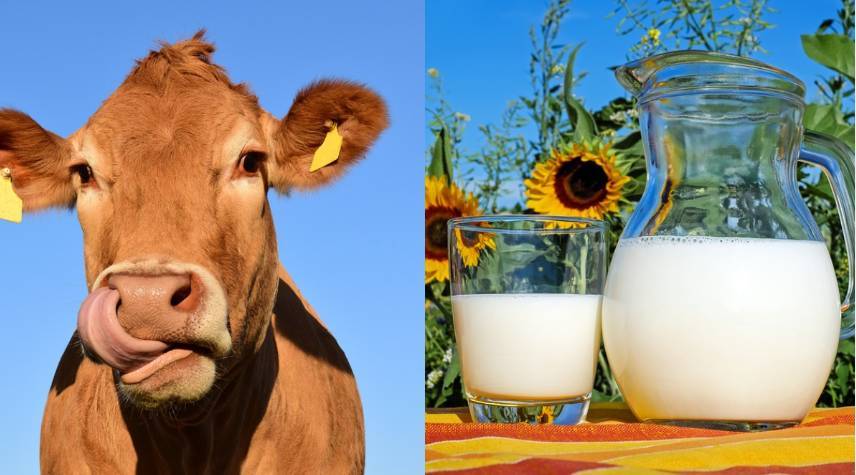 В Госдуме опровергли сообщения СМИ о росте цен на молочную продукцию