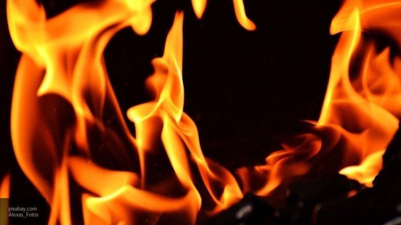 Трехлетние близняшки погибли при пожаре в частном доме в Иркутской области