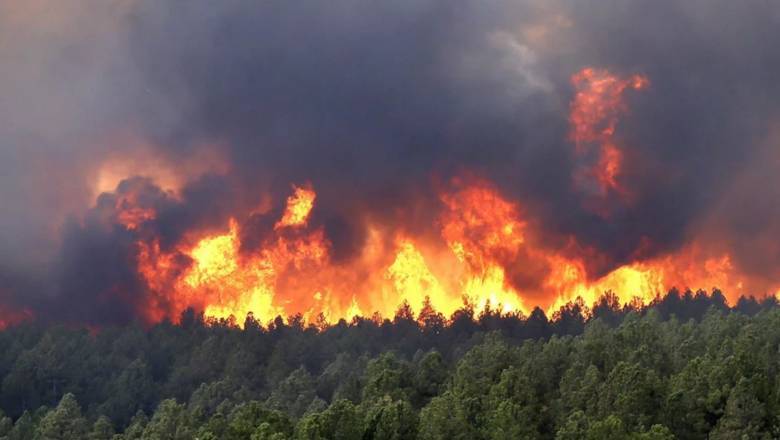 В России все лесные пожары потушены