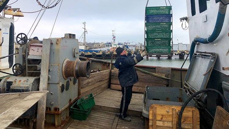 Пограничники Крыма оштрафовали рыбаков-нелегалов на 7 млн рублей с начала года