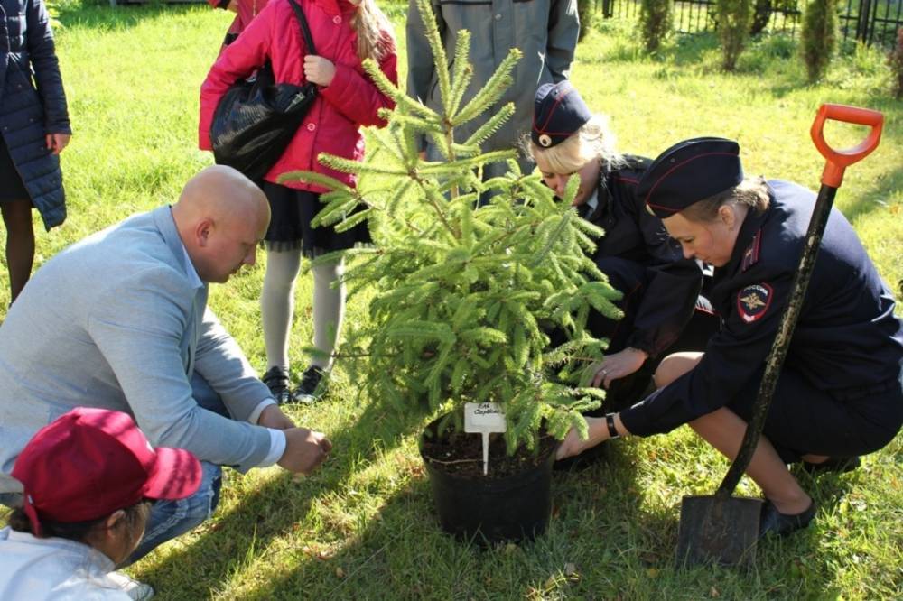 В Кировском районе полицейские присоединились к акции «Лес Победы»