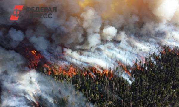 «Обезглавливание службы лесников привело к массовым пожарам в Сибири»
