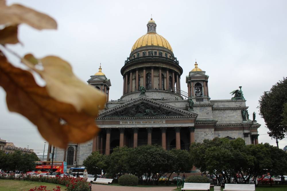 Осенью в Петербурге зарабатывают на грибах, шарфах и фотосессиях