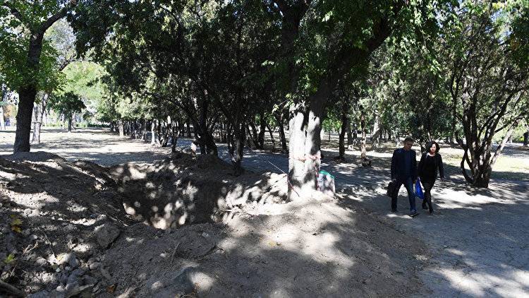 В парке в центре Симферополя обнаружили человеческие останки