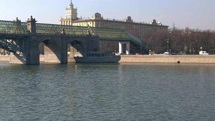 В Москве в результате падения автомобиля в реку погибли два человека