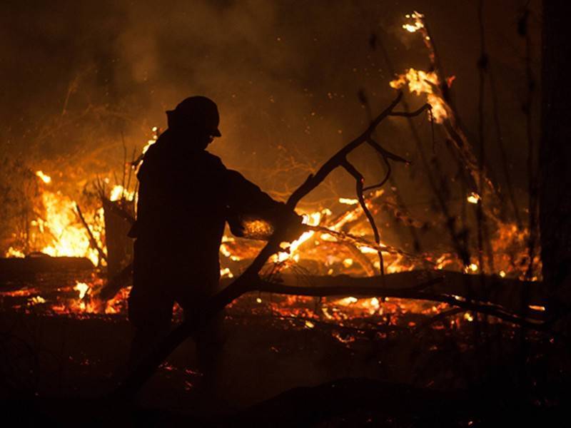 Все лесные пожары потушили в России