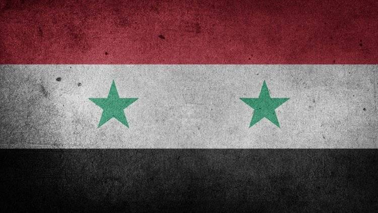 Группировки ИГ* и «Ан-Нусра»* уничтожены в Сирии, заявили в МИД РФ