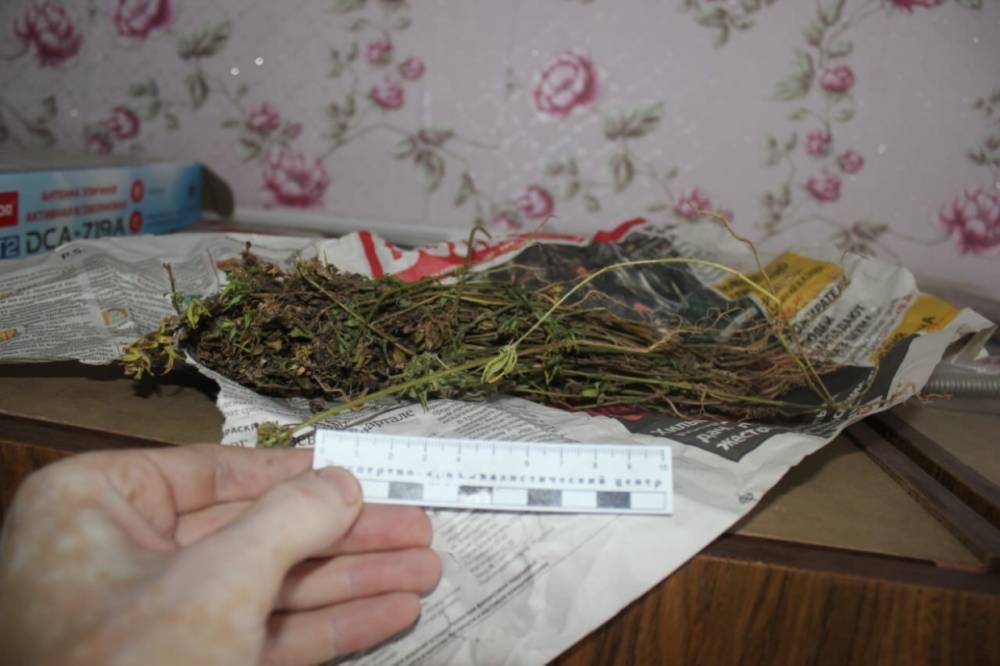 Более двух килограммов наркотиков задержали пограничники в Калининградской области