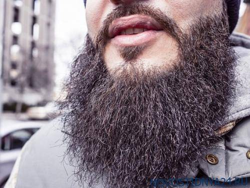 В Узбекистане начали бороться с «мерзавцами с бородой»