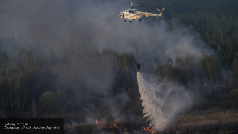 Все лесные пожары на территории РФ были ликвидированы