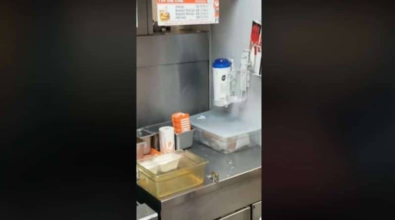 Соцсети шокировало вирусное видео, на котором крыса прыгает в раскаленный фритюр в ресторане быстрого питания