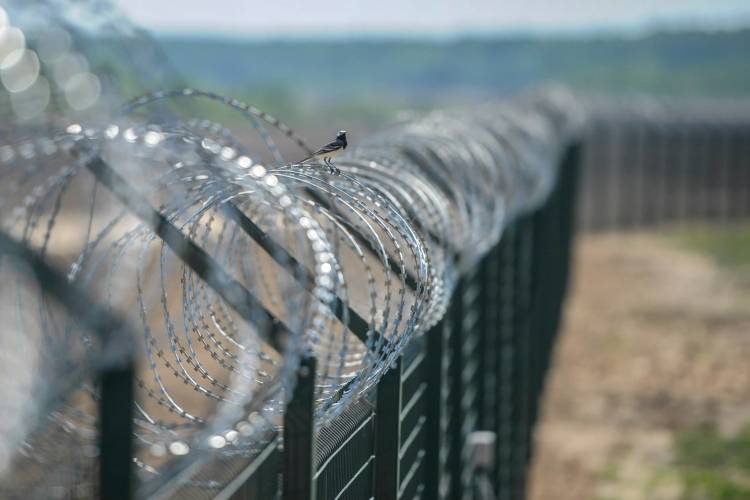 Пентагон обеспечит финансирование строительства стены у границы с Мексикой