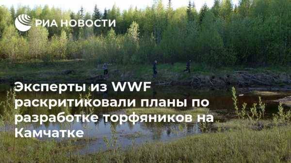 Эксперты из WWF раскритиковали планы по разработке торфяников на Камчатке